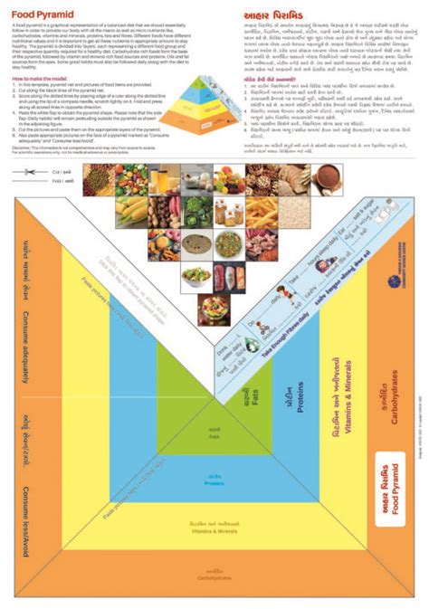 Make a Food Pyramid (50 Nos.) – Science Shop