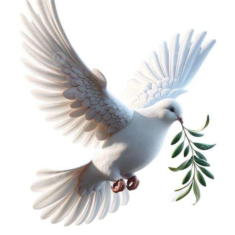 Dove Of Peace White Dove Olive Branch White Illustration Peace Dove