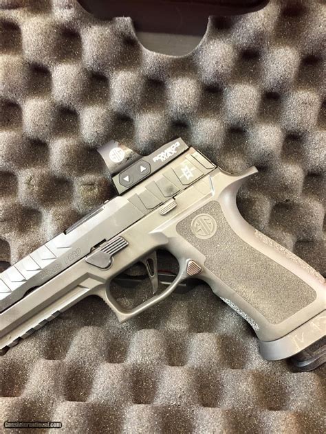 Sig Sauer P Max Michel Custom Works