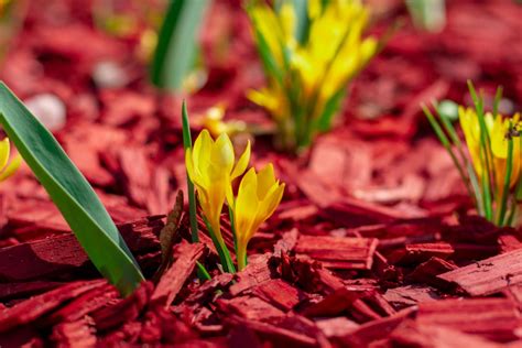 How To Mulch Flower Beds In 4 Easy Steps My Backyard Life