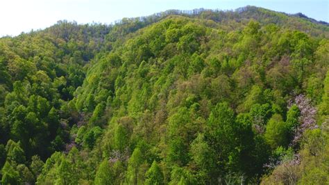 East Tennessee Mountain Land With An Abundance Of Water