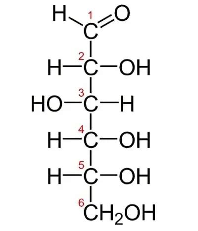 Monosaccharides Definition Structure Types Examples Biology