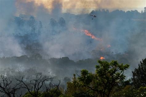 Descubren De Qué Manera Interfieren Los Incendios En La Formación De