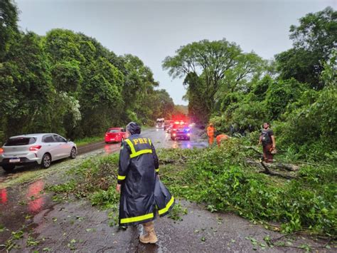 Vento forte derruba árvore na pista e trecho da BR 158 em Itaara deixa