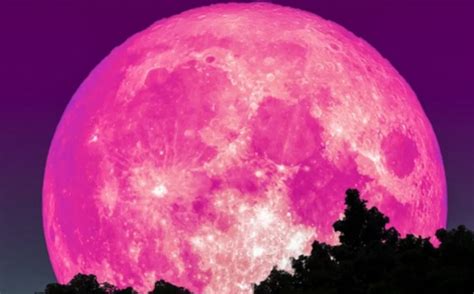 Luna De Fresa Cu L Es El Significado De Su Nombre