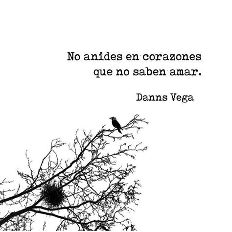 No Anides En Corazones Que No Saben Amar Danns Vega No Sabes Amar