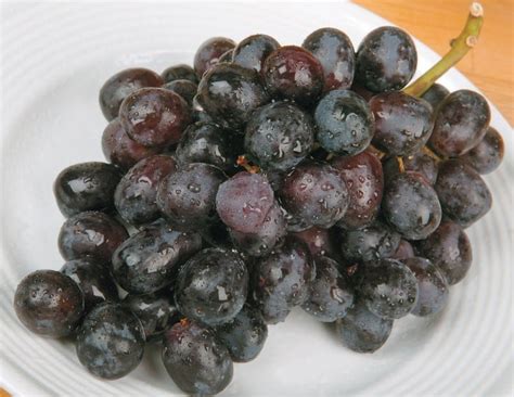 Black Grapes on a Plate - Prepared Food Photos, Inc.