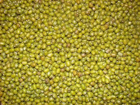 Loose Moong Sabut Dal At Best Price In Ahmedabad Mahadev Pulses Pvt Ltd