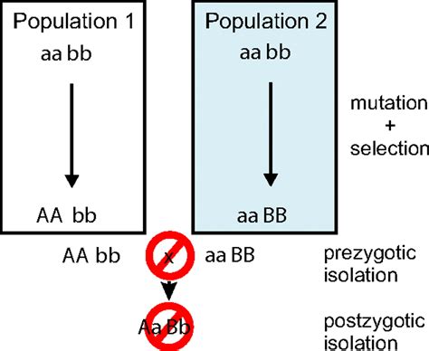 Genetics And Ecological Speciation Pnas