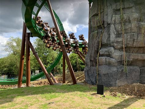 In Pictures Mandrill Mayhem At Chessington UK Theme Park Spy