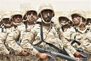 uae armed forces latest news views reviews updates
