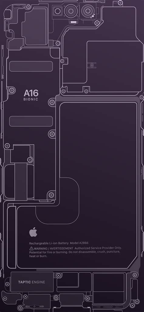 iPhone 14 Pro - Teardown wallpaper (Deep Purple) - Wallpapers Central