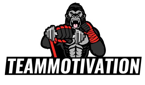 Onze aanpak - Team Motivation