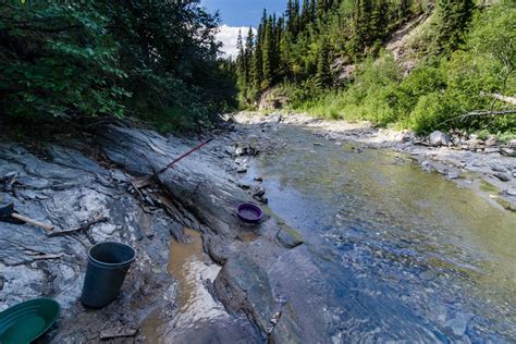 Recreational Gold Panning In Alaska