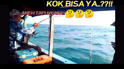 MUSTAHIL TAPI INI KENYATAANNYA YANG TERJADI Fishing YouTube