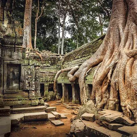 Reportajes Y Crónicas De Viajes A Angkor Wat En National Geographic