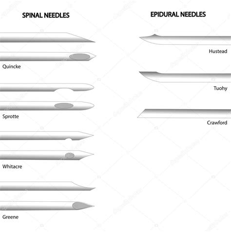 Aguja Espinal Y Epidural Diferentes Tipos De Agujas Espinales Y