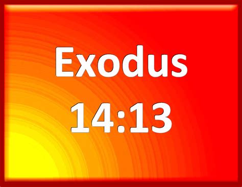 Exodus And Moses Said To The People Fear You Not Stand Still