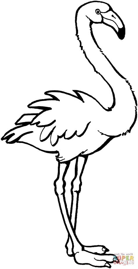 Flamingo coloring pages to download and print for free