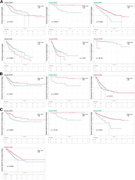 Frontiers A Systematic Pan Cancer Analysis Reveals The Clinical