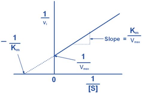 Michaelis Menten Equation Derivation Graphical Representation