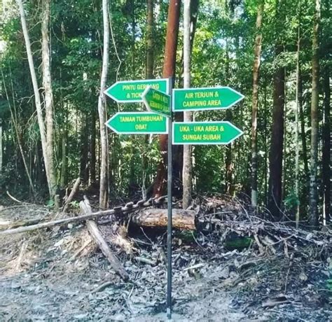 Yuk Kunjungi Wisata Kebun Raya Sambas Terbesar Di Dunia Koran Saku