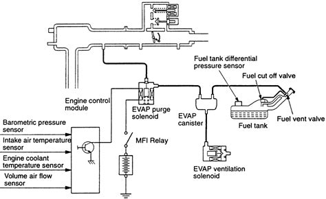 Evaporative Emission Evap System Diagram Evap Check Engine