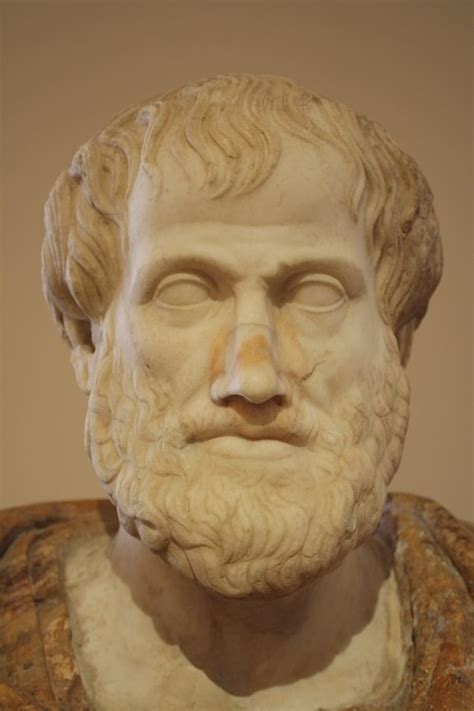 Aristotle - Ancient History Encyclopedia