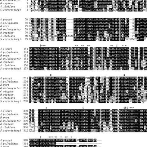 The Nucleotide And Deduced Amino Acid Sequence Of Antheraea Pernyi