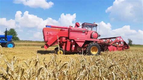 Massey Ferguson 510 Harvesting 2019 Youtube