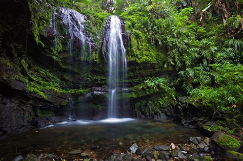 Caminata Quebrada Las Delicias Ciales Puerto Rico Descubra Puerto Rico