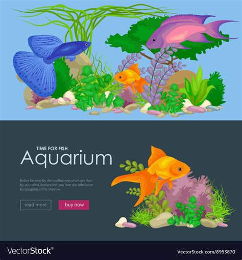 Aquarium Fish Seaweed Underwater Banner Template Vector Image