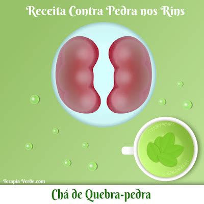 Receita Contra Pedra nos Rins Chá de Quebra pedra Terapia Verde