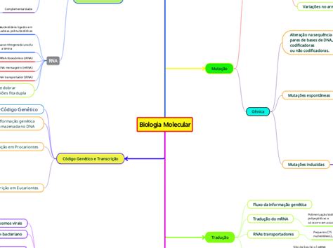 Biologia Molecular Mind Map