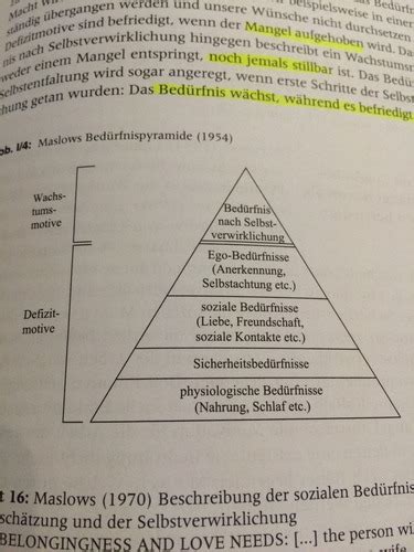 Kap 1 4 Zur Zeit Des Self Actualizing Man Karteikarten Quizlet