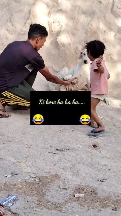 भाई अब तो कुत्ते भी इंसान से वफादार हो गए😄😄😄😄😃😃😃😇😇🤣🤣🤣🤣😀😀 Youtube