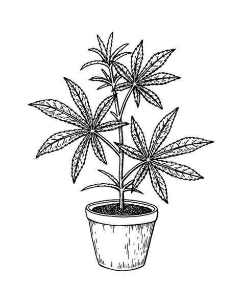 Esbo O De Planta Em Vaso De Maconha Desenho Nico De Maconha Vetor