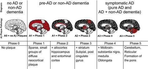 Correlation Of Alzheimer Disease Neuropathologic Staging With Amyloid