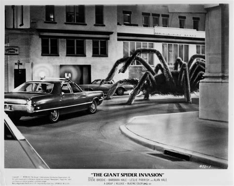 The Giant Spider Invasion 1975