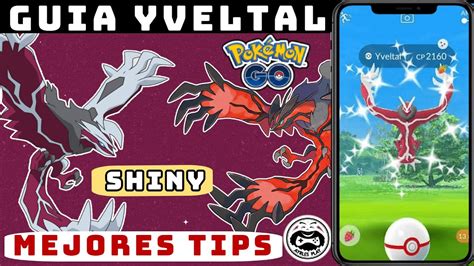 Yveltal Shiny Pokemon Go Capturar A Yveltal Pokemon Go Hora