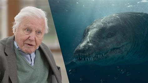 Bbc One Attenborough And The Giant Sea Monster Sir David