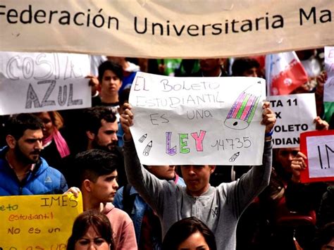 El boleto estudiantil gratuito llegó a Mar del Plata cómo se aplicará