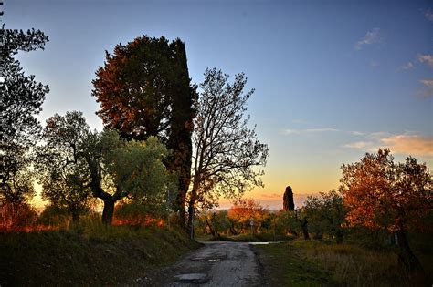 Route Des Arbres Rural De Photo Gratuite Sur Pixabay Pixabay