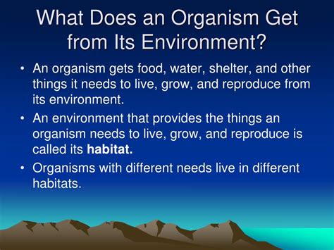 Ppt What Does An Organism Get From Its Environment Powerpoint