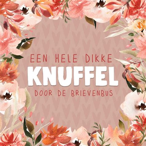 Sterkte Kaarten Met Dikke Knuffel Kaartje2go