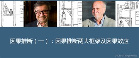 因果推断（一）：因果推断两大框架及因果效应dgp Csdn 因果推断 Csdn博客