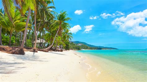 Top beaches in Koh Samui — Top 10 most beautiful & best beaches in Koh Samui Island, Thailand ...