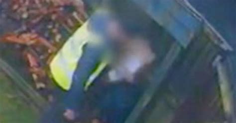 Naughty Amazon Delivery Driver Caught On Camera Stealing Parcels From