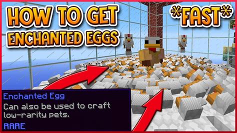 Hypixel Skyblock How To Get A Lot Of Enchanted Eggs Pets Update