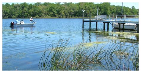 Best Florida Lakes Biggest Lakes In Florida